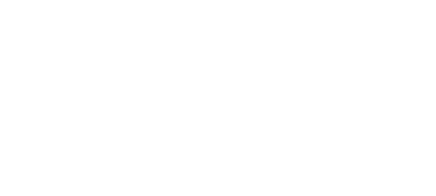 Princeton University